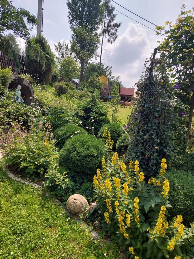 Noclegi U Ilony Czarna Góra المظهر الخارجي الصورة